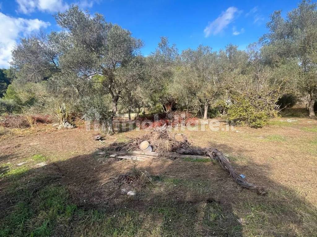 Terreno