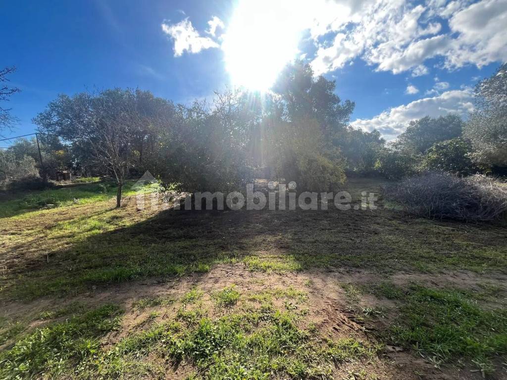 Terreno