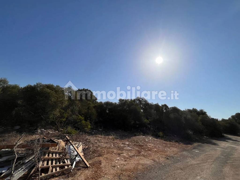 Terreno