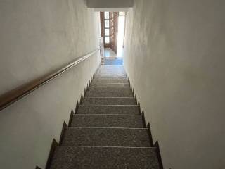 Scala