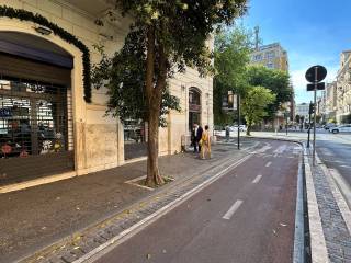 Zona