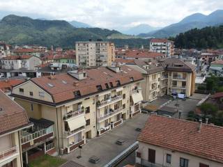 Vista