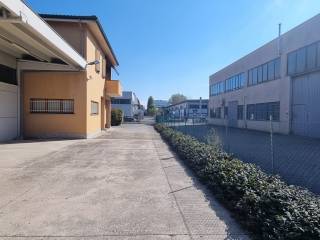 Zona