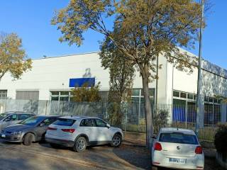 Zona