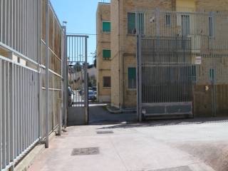 Zona