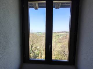 Vista