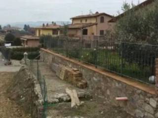 Zona