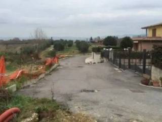 Zona