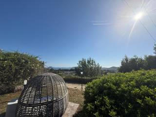 Vista