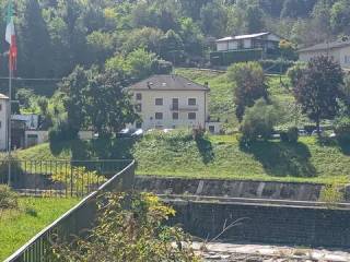 Vista