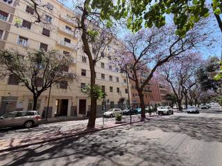 Zona