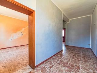 Ingresso