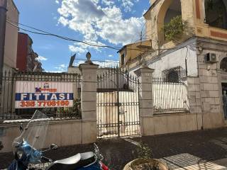 Zona