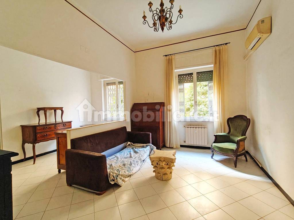 Salone