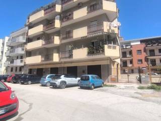 Zona