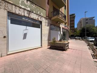 Zona