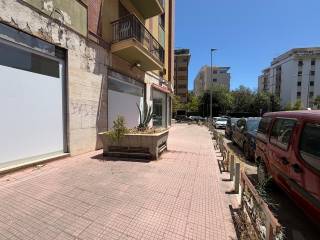 Zona