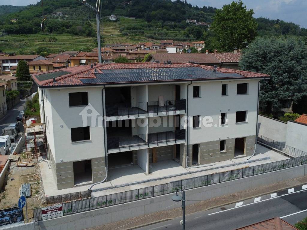Vista