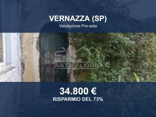 Zona