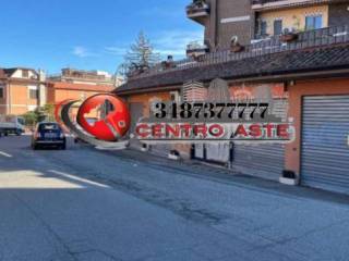 Zona