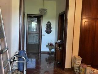 Ingresso