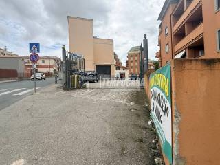 Zona