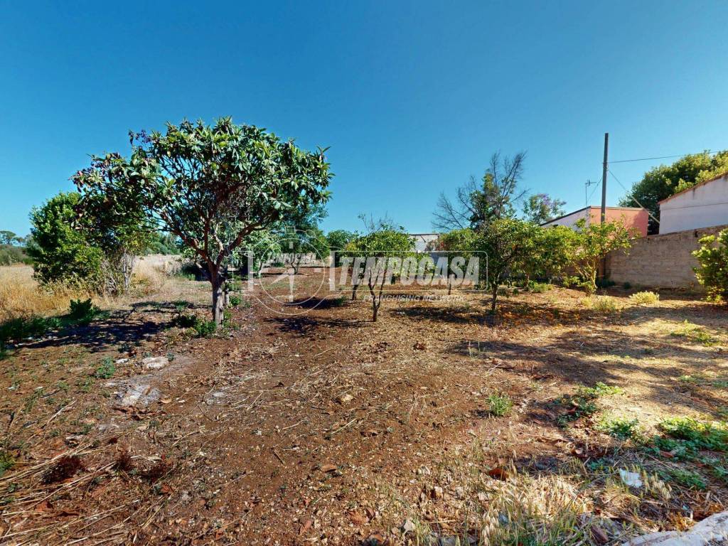 Terreno
