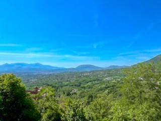 Vista