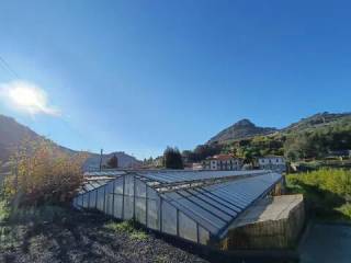 Vista