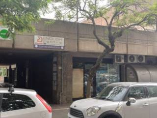 Zona