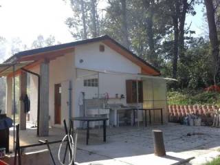 Zona