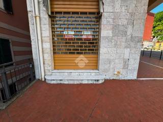 Ingresso