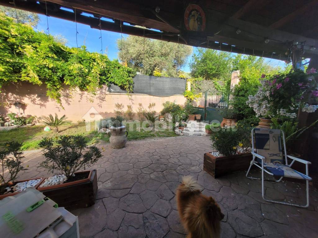 Giardino