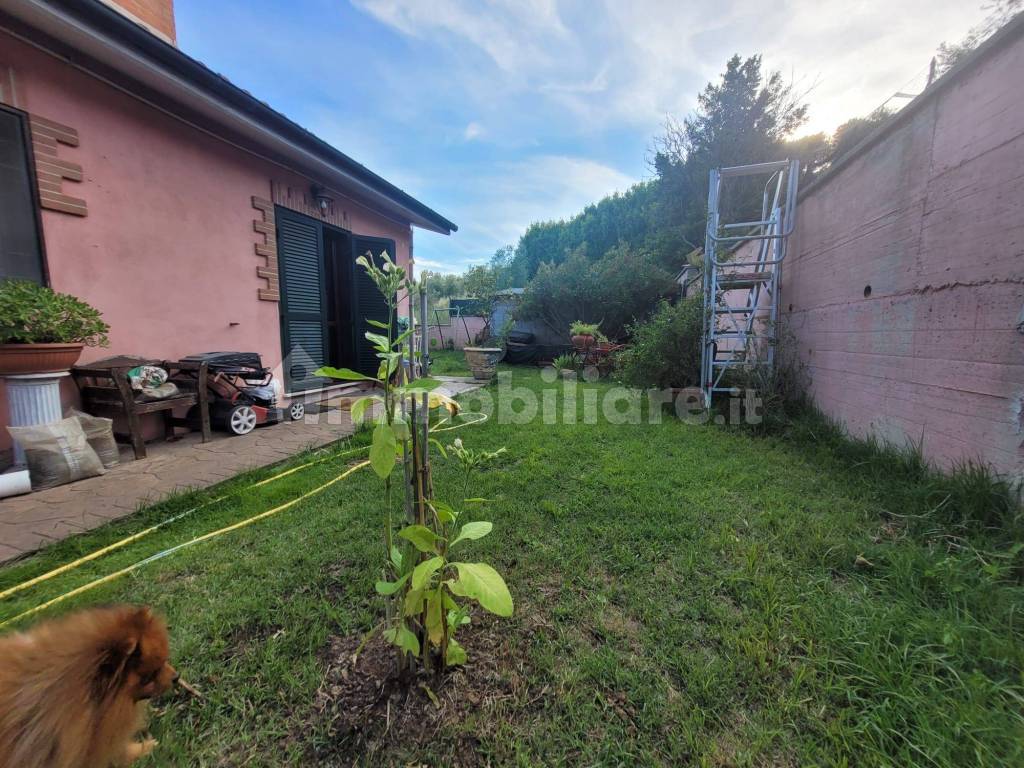 Giardino