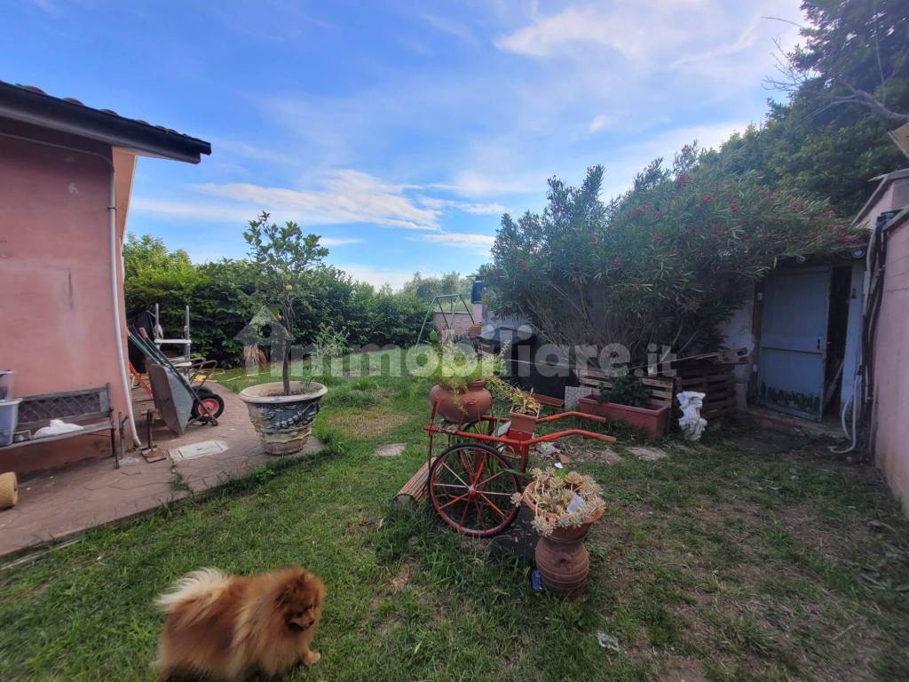 Giardino