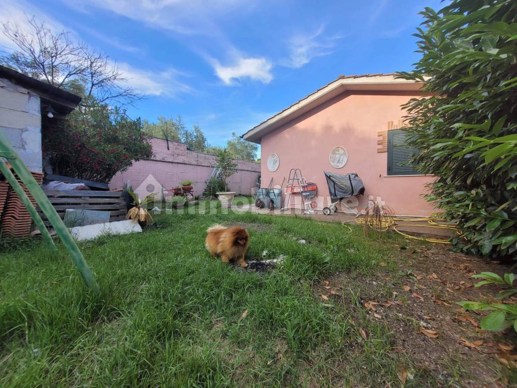 Giardino
