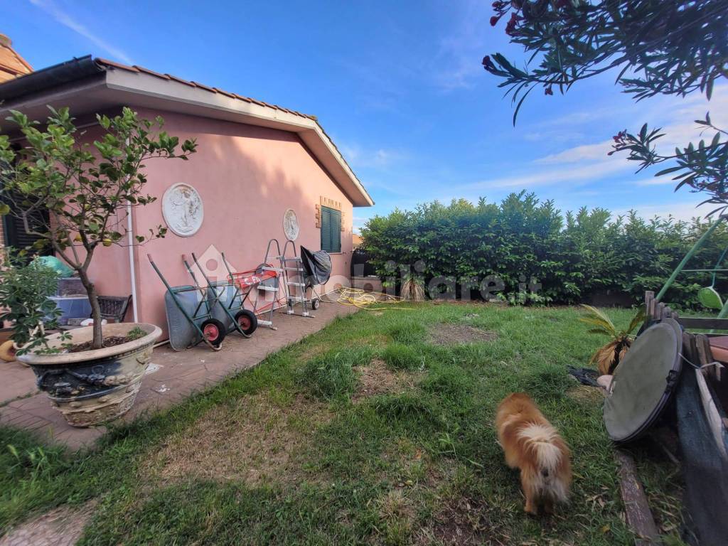 Giardino