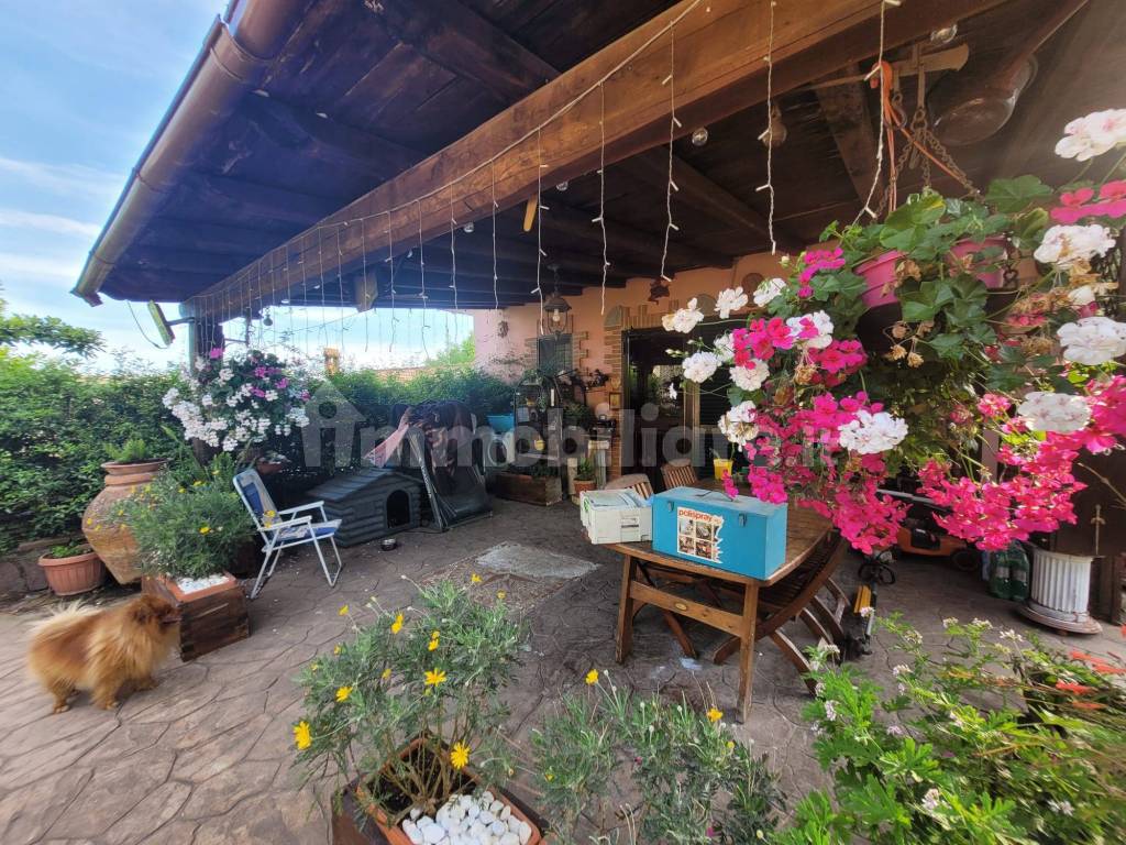 Giardino