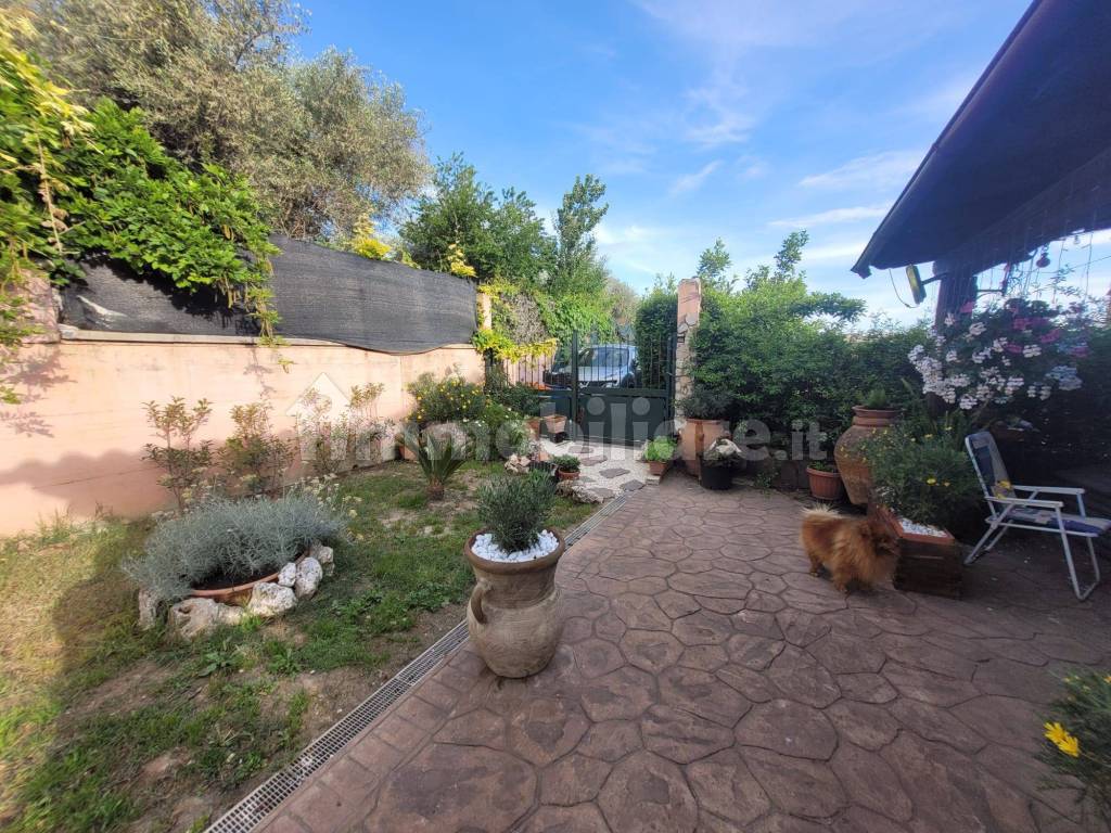 Giardino