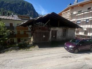 Zona