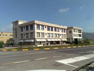 Zona