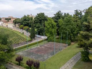 Vista