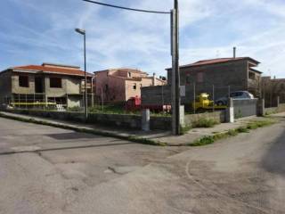 Zona