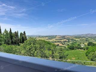 Vista