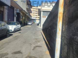Zona