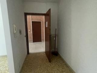 Ingresso
