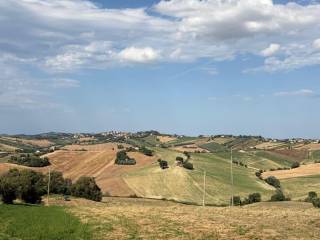 Vista
