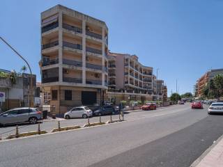 Zona