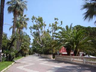 Zona