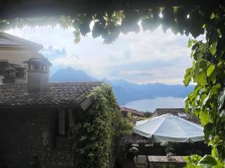 Vista